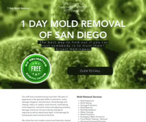 1-Daymoldremoval.com(1 Day Mold Removal) Screenshot