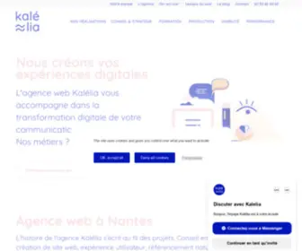 1-Ter-Net.com(Agence web Nantes) Screenshot