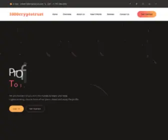 1000CRYptotrust.com(The Best Investment Network) Screenshot