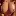 1000I1Knigi.ru Favicon