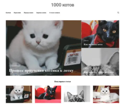 1000Kotov.ru(Все) Screenshot