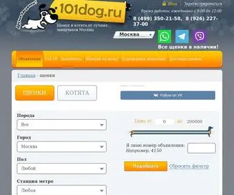 101Dog.ru(Щенки и котята от лучших заводчиков Москвы) Screenshot