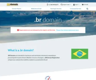 101Domain.com.br(Br Domain Registration) Screenshot