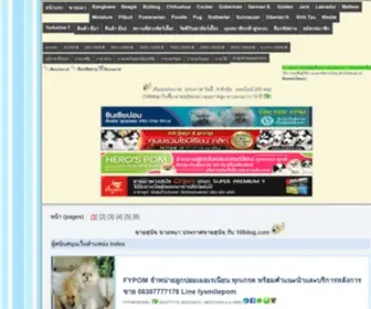 108Dog.com(ขายสุนัข) Screenshot