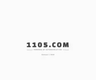 1105.com Screenshot