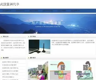 111IT.com(武汉代孕) Screenshot