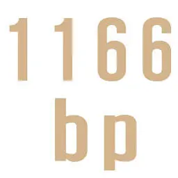 1166BP.com Favicon