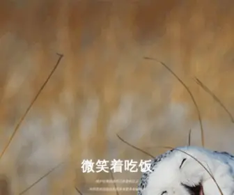123ER.com(拯救世界与愚蠢的人类) Screenshot