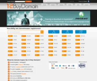 12BuyDomain.nl(Bij 12 Buy Domain snel en eenvoudig uw domeinregistratie) Screenshot