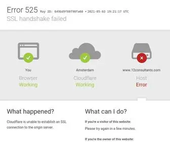12Consultants.com(12 Consultants) Screenshot