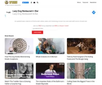 1Funny.com(#1 Clean Humor Website) Screenshot