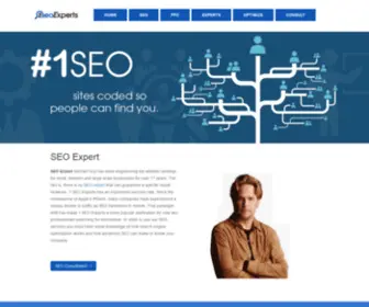 1Seoexperts.com(SEO Expert) Screenshot