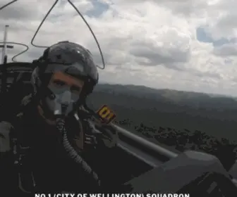 1Squadron.org.nz(Air) Screenshot