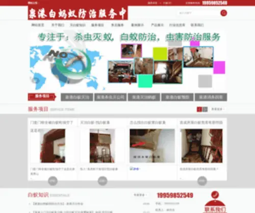 1ZSBY.com.cn(福建白蚁防治公司/防治白蚁/灭白蚁/白蚁/地址) Screenshot