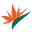 2000Club.co.za Favicon