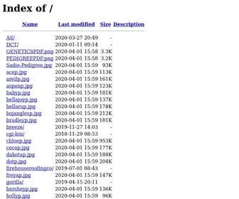 20Page.com(20 Page) Screenshot