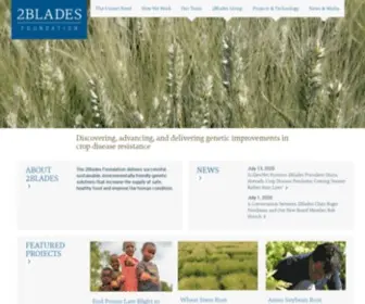 2Blades.org(2Blades Foundation Home) Screenshot