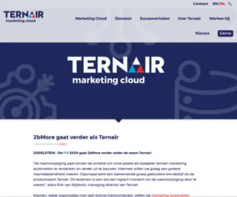 2Bmore.nl(Ternair Marketing Automation) Screenshot