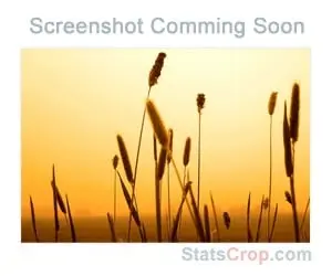 2C12.com(Gloria's Online Emporium) Screenshot