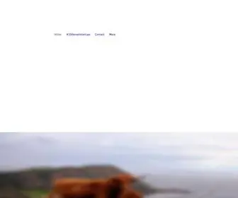 2Scots.com(Marketing agency for Startups) Screenshot