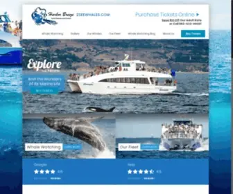 2Seewhales.com(Whale Watching in Southern California) Screenshot