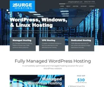 2Surgehost.com(2Surge Hosting) Screenshot