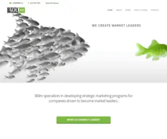 300M.co(Creating Market Leaders 300m) Screenshot
