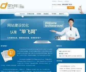 313.cn(网站优化首选单飞网) Screenshot