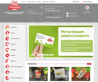 33Kuritsi.ru(33Курицы) Screenshot