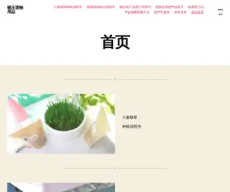 35TE.com(晓乐宠物用品) Screenshot