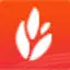 360CN.cn Favicon