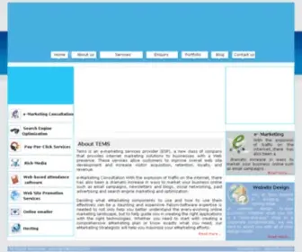 365Days.in(SEO, e-Marketing Consultation, Web-based attendance System, Online Mailer, Website design) Screenshot