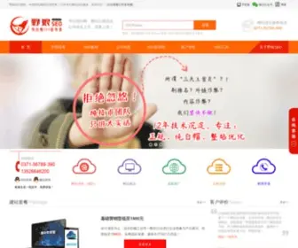 390Seo.com(网络推广服务公司) Screenshot