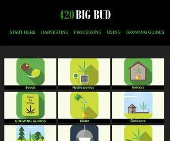 420Bigbud.com(’s vision) Screenshot