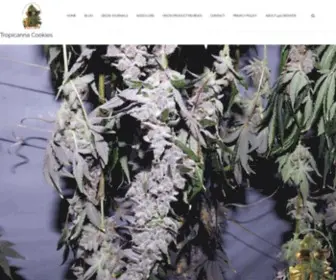 420Grower.org(Front PageGROWER) Screenshot