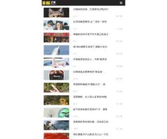 49363.com(未解之谜网) Screenshot