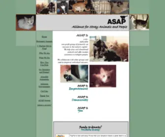 4Asap.org(Alliance for Stray Animals and People) Screenshot
