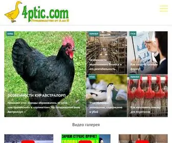 4Ptic.com(Журнал) Screenshot