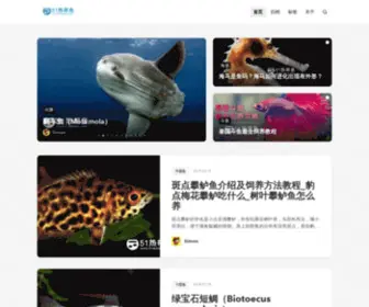 51Redaiyu.com(热带鱼论坛) Screenshot