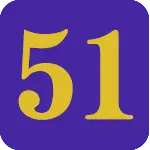 51SO.online Logo