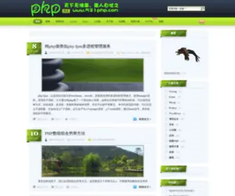 521PHP.com(521PHP博客) Screenshot