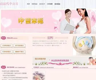 521XSJ.com(启辰助孕公司) Screenshot
