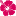 55Paradise.com Favicon