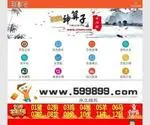 599899.com Screenshot