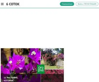 6Cotok.org(6 соток 6 соток) Screenshot