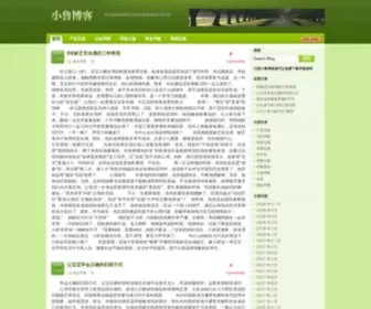 80LR.com(武汉SEO) Screenshot