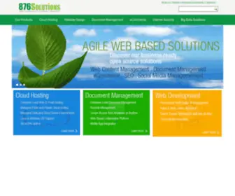 876Solutions.com(Who We Are) Screenshot