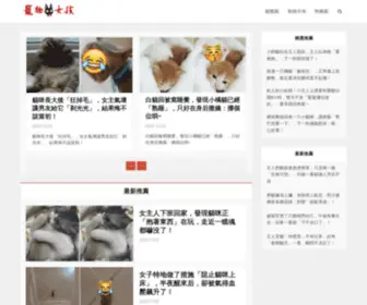 88Lovelypet.com(寵物女孩) Screenshot