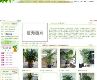 9-Sheng.com(滨江植物租赁公司) Screenshot