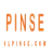 91Pinse.com Favicon